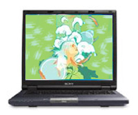 Sony VAIO PCG-GRT170 Repair