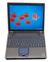 Sony VAIO PCG-F430 Repair