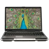 Toshiba Satellite A25-S307 Repair