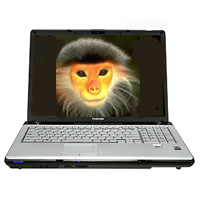 Toshiba Satellite M20-S257 Repair